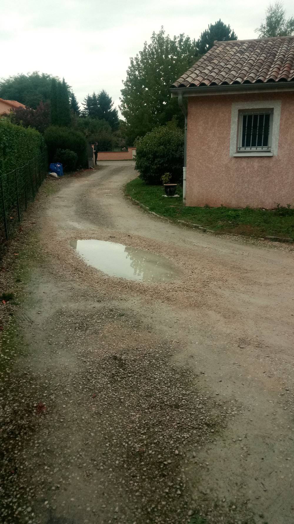 AVANT 1-min